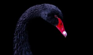 IT転職でブラック企業を回避するための具体的な方法は？