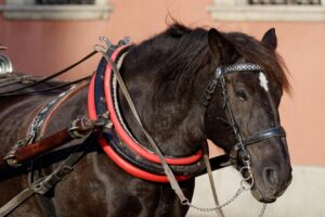 IT転職で複数のエージェントを利用するメリットとは？