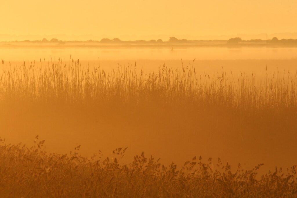 IT転職でテックリードになるための年収アップの秘訣は？
