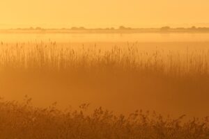 IT転職でテックリードになるための年収アップの秘訣は？