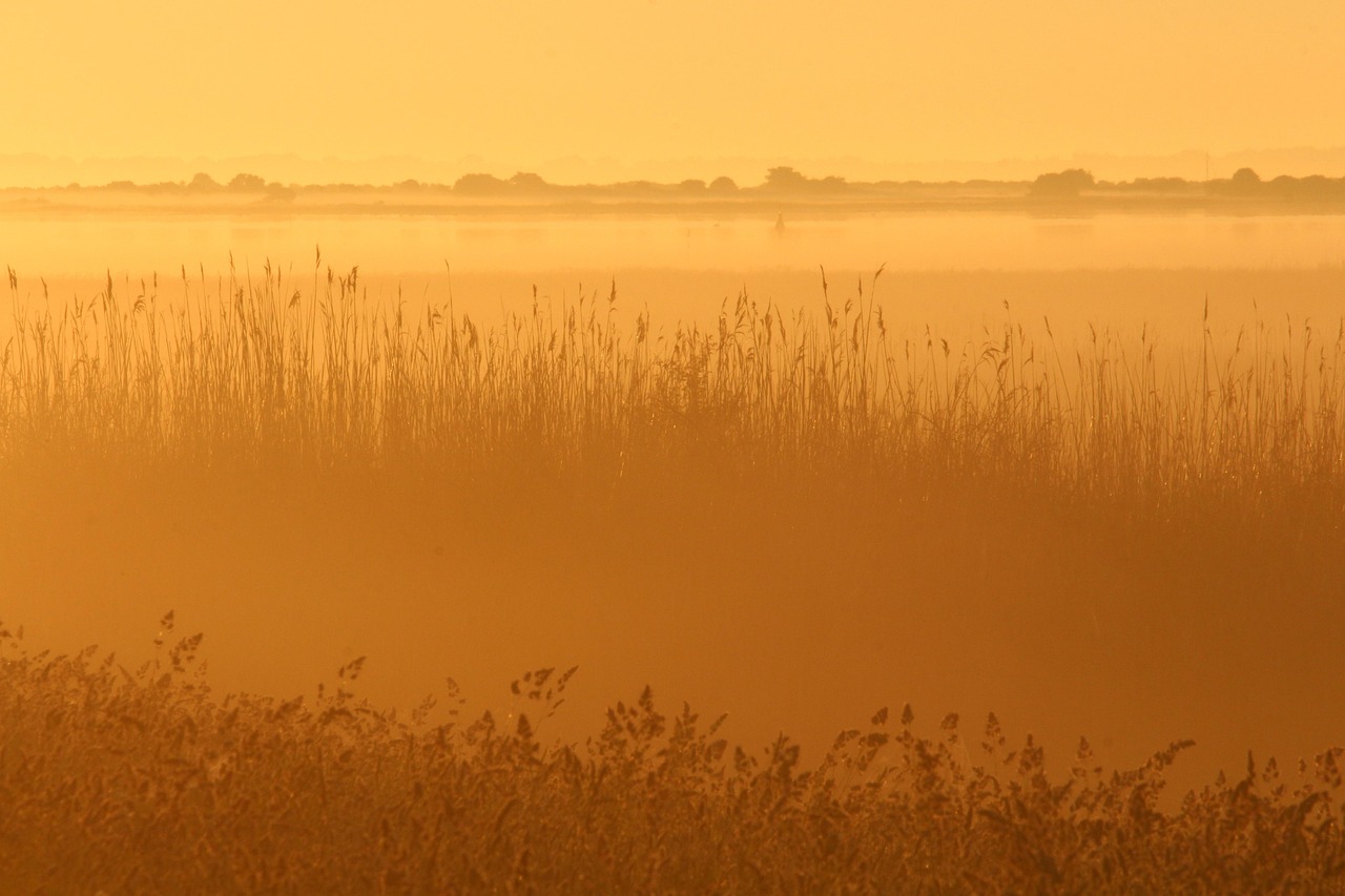 IT転職でテックリードになるための年収アップの秘訣は？