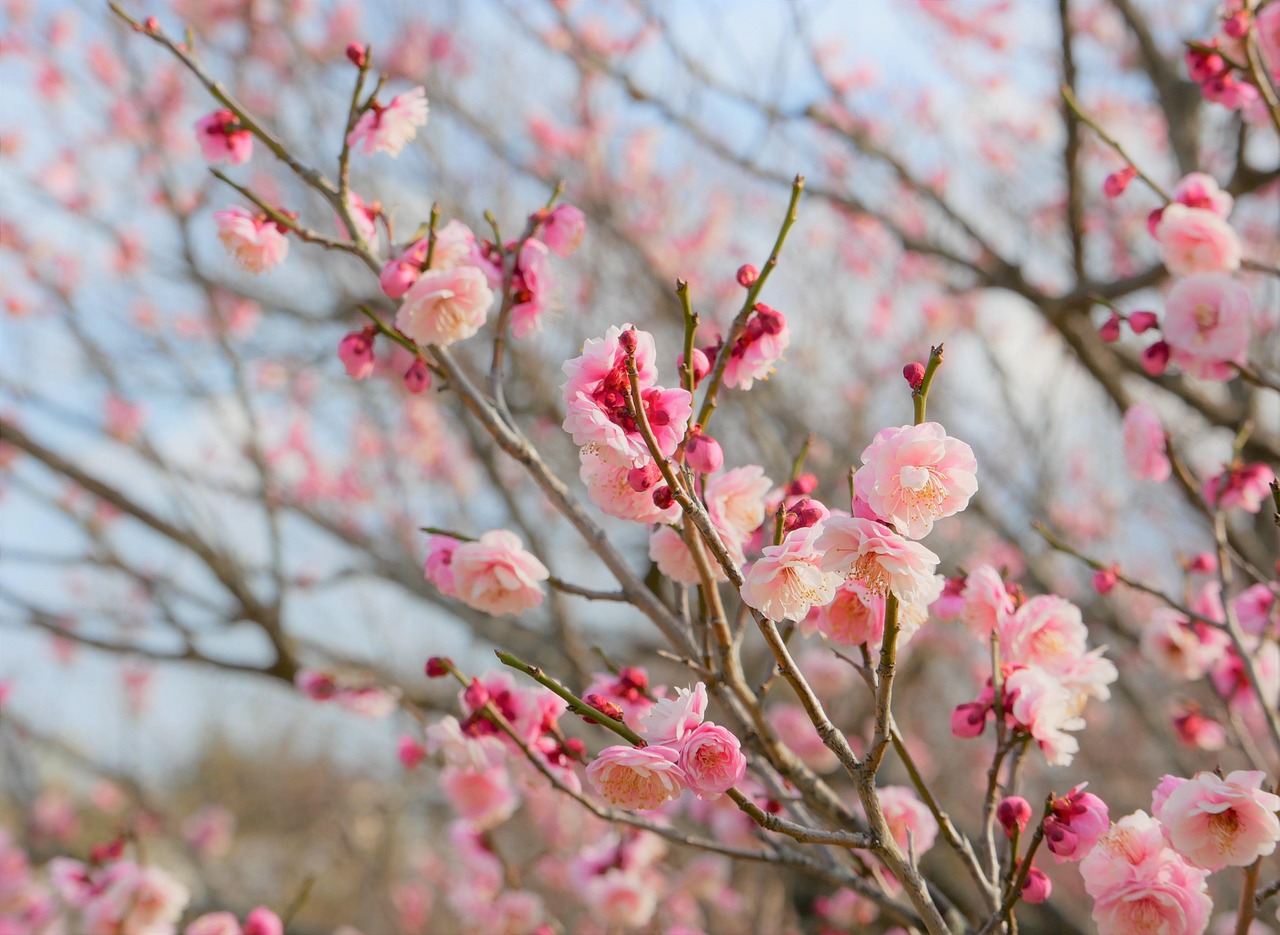 lpic level3を活かした転職成功の秘訣は？