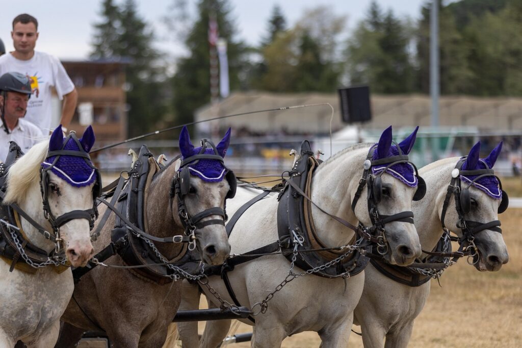 IT転職の理由を効果的に伝える方法は？