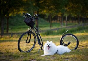 IT転職を考える経験者が知っておくべき転職活動のポイントは？