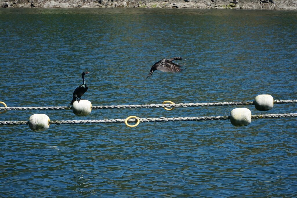 SE転職のきっかけと理由を知りたい人へ？