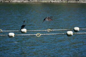 SE転職のきっかけと理由を知りたい人へ？