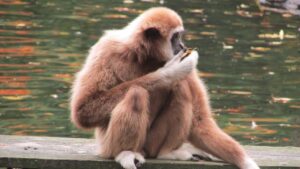 IT転職における職務経歴書でアピールすべき強みは？