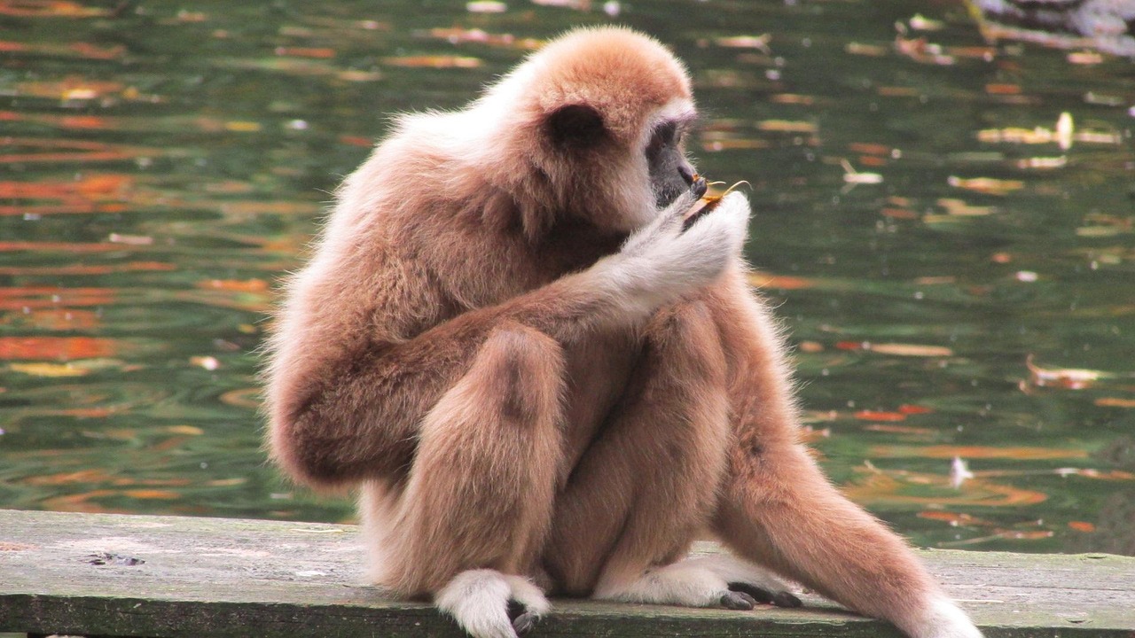 IT転職における職務経歴書でアピールすべき強みは？