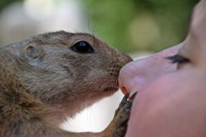 IT転職の仕事を比較する際のポイントは？