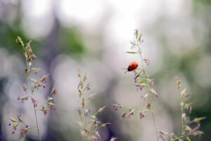 IT転職の注意点とは？体験談から学ぶ成功の秘訣は？
